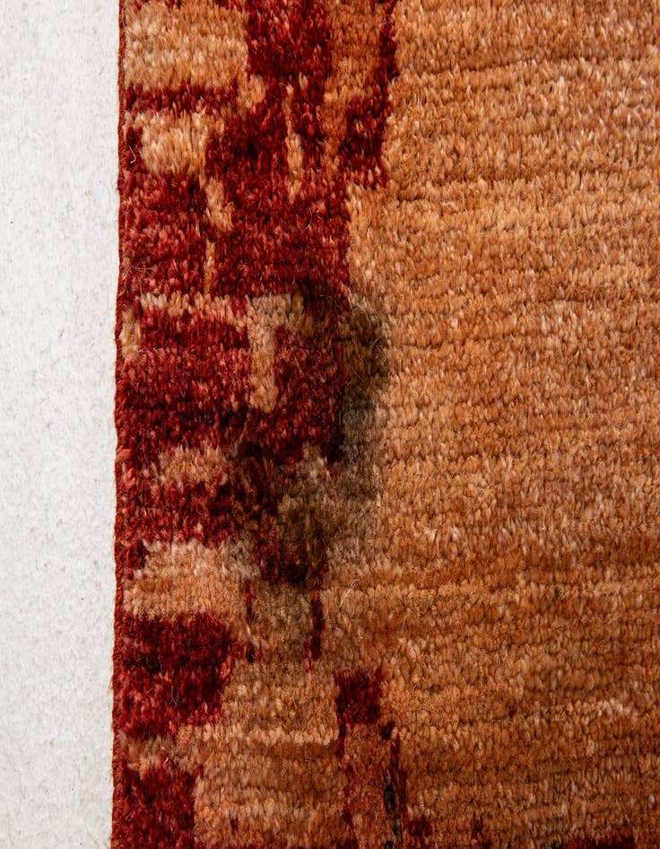 Detail image of 10' 3 x 13' 8  Hand Knotted Darya Rug