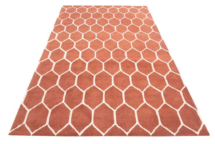 5' x 7' 10 Luna Rug