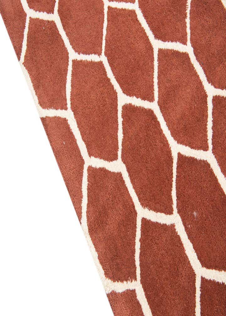 5' x 7' 10 Luna Rug