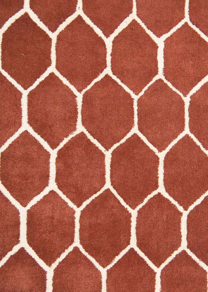 5' x 7' 10 Luna Rug