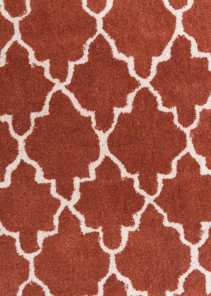 4' x 6' Luna Rug