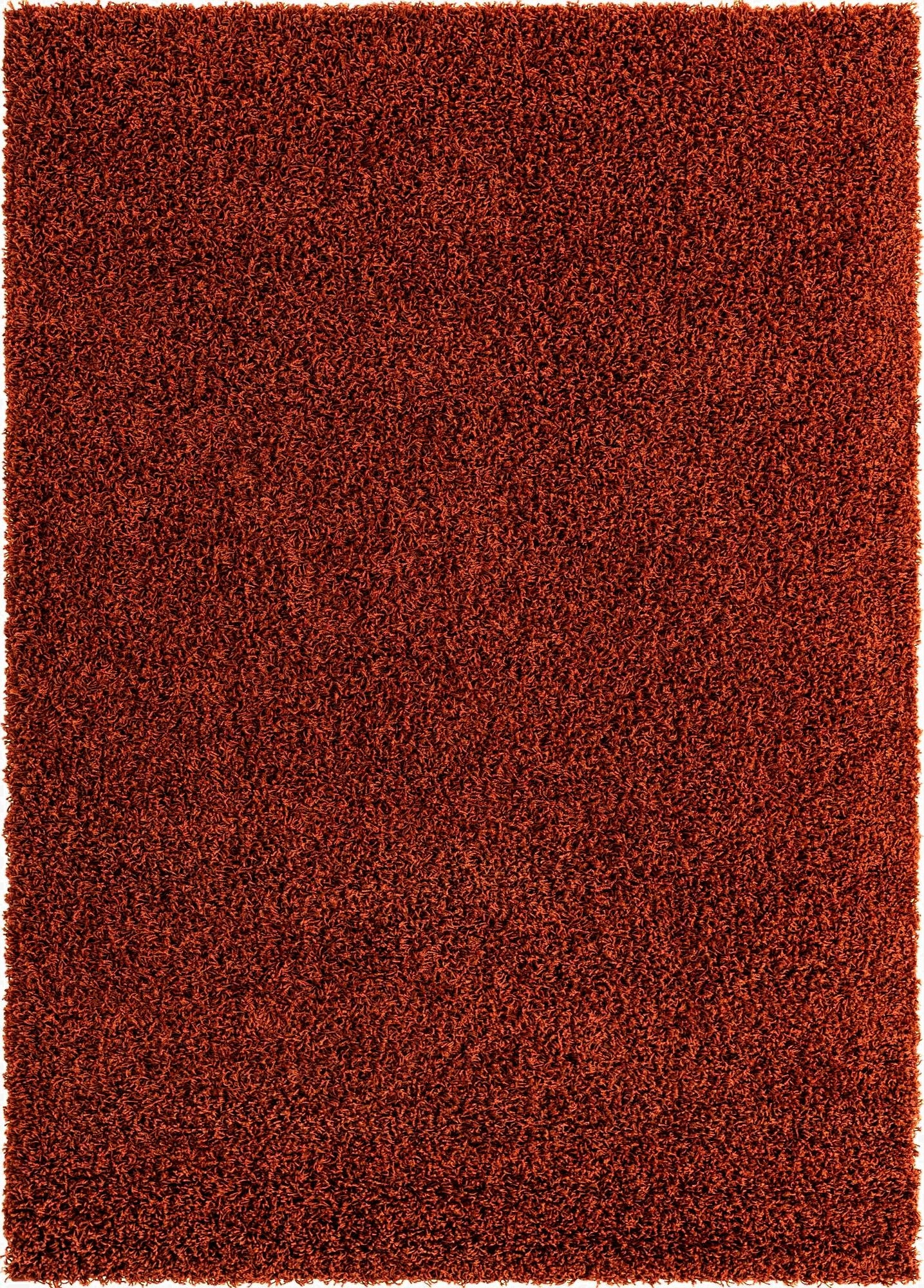 Primary image 7' x 10' Solid Shag Rug