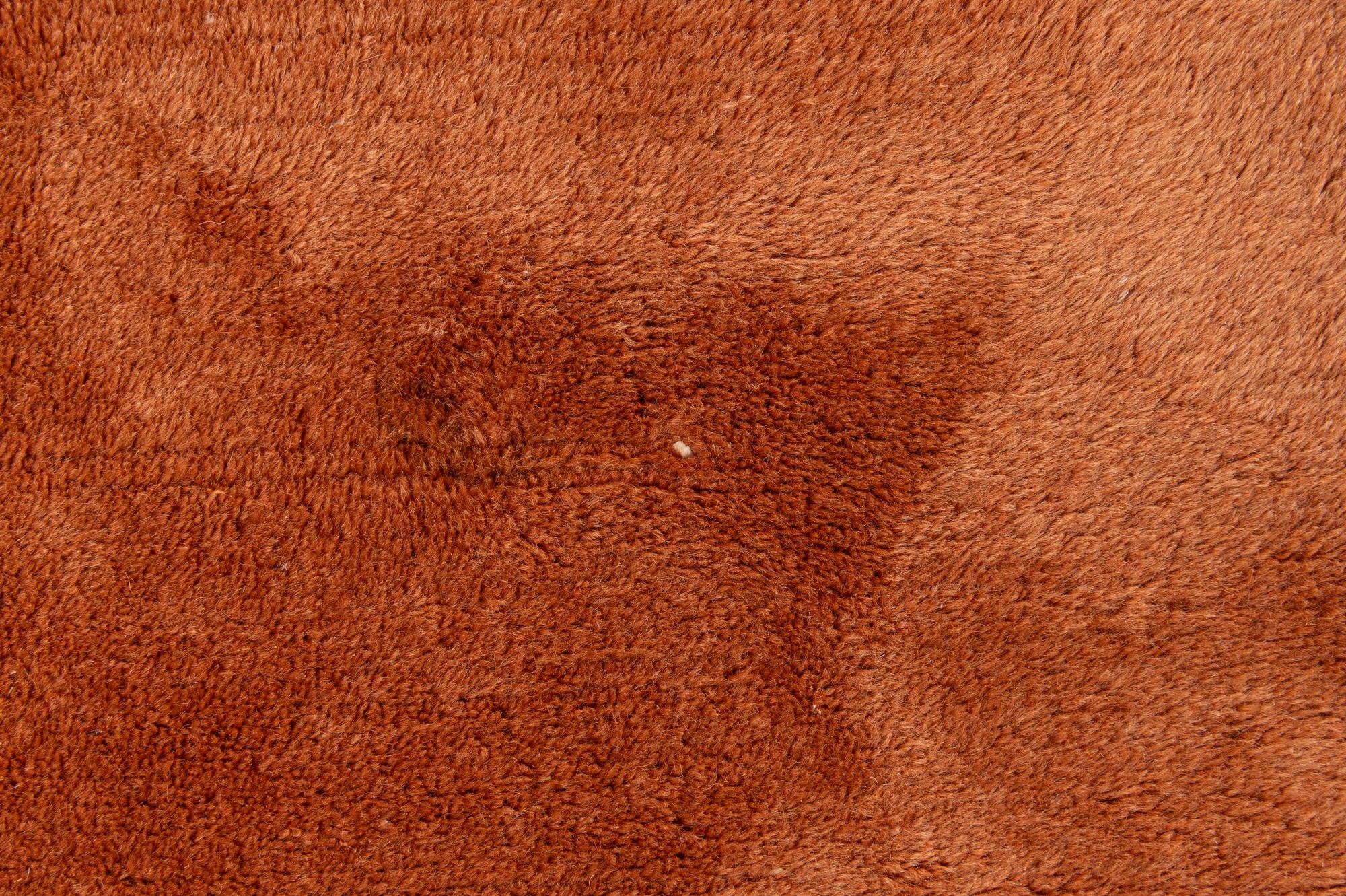 8' 2 x 10' 9 Hand Knotted Tibet Rug