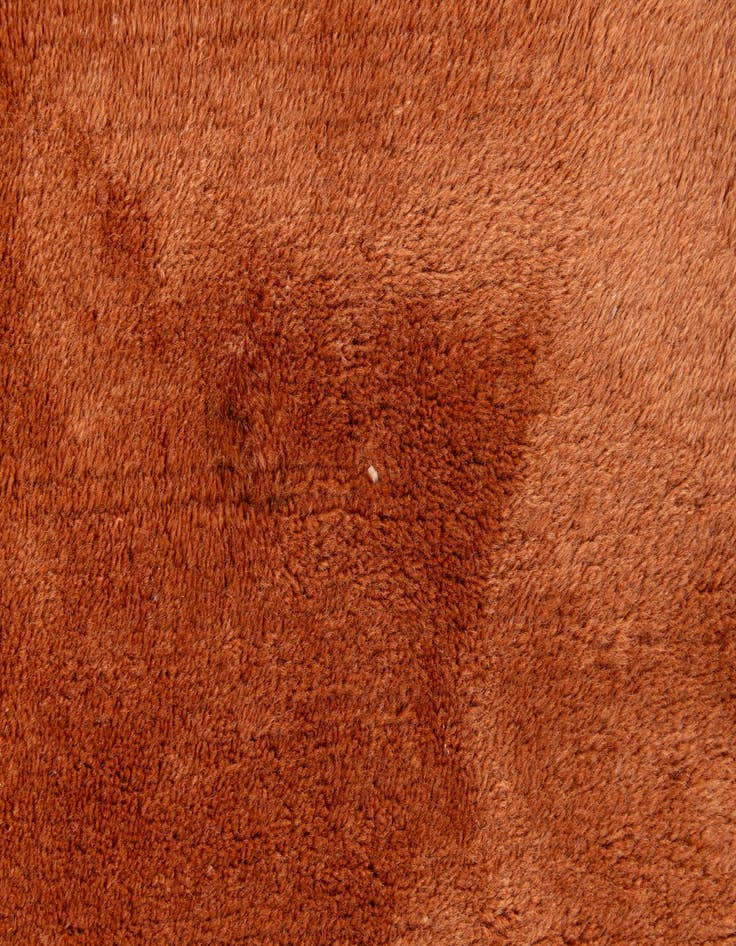 Detail image of 8' 2 x 10' 9  Hand Knotted Tibet Rug