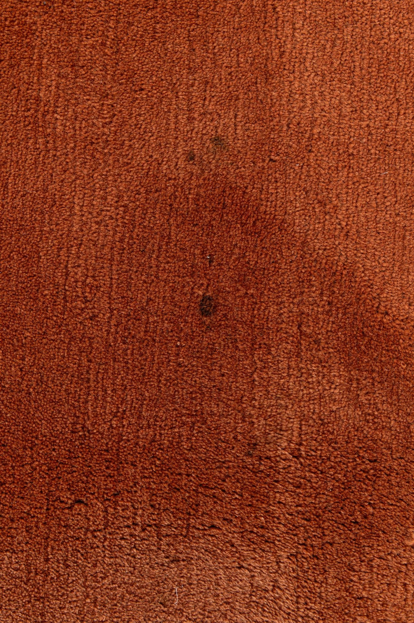 8' 2 x 10' 9 Hand Knotted Tibet Rug