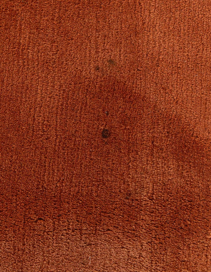 Detail image of 8' 2 x 10' 9  Hand Knotted Tibet Rug