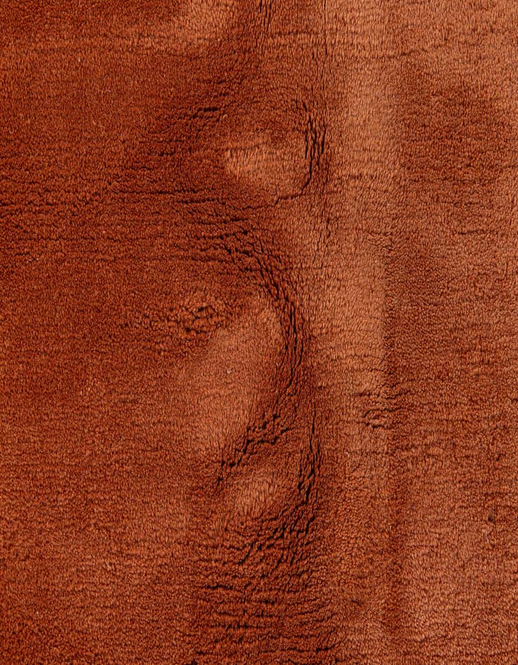 Detail image of 8' 2 x 10' 9  Hand Knotted Tibet Rug