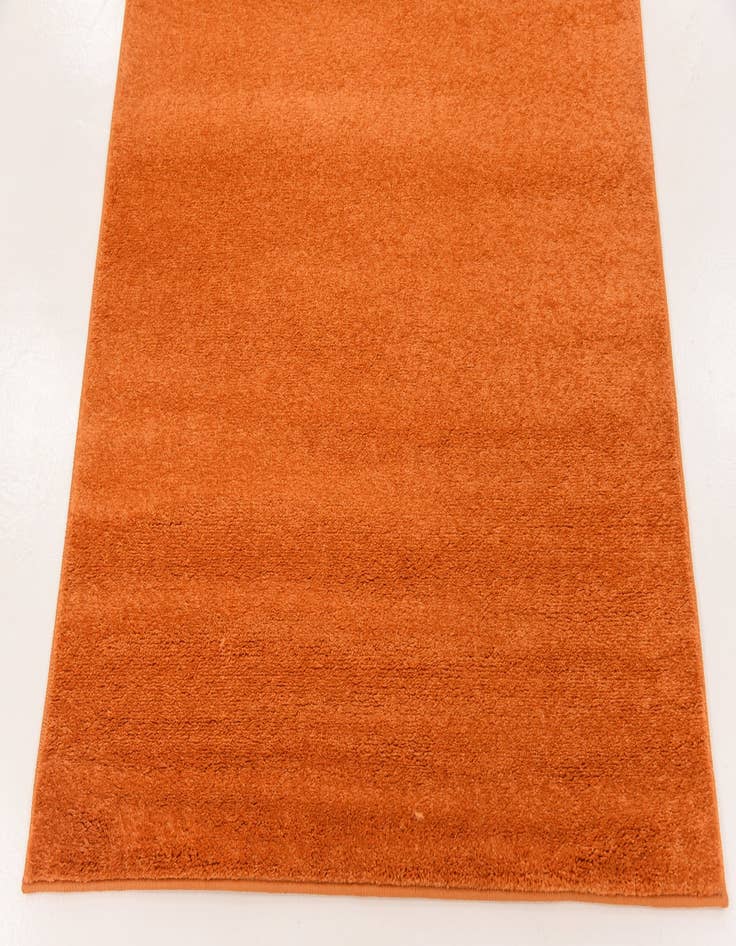 Detail image of 3' 3 x 9' 10 Basic Runner Rug