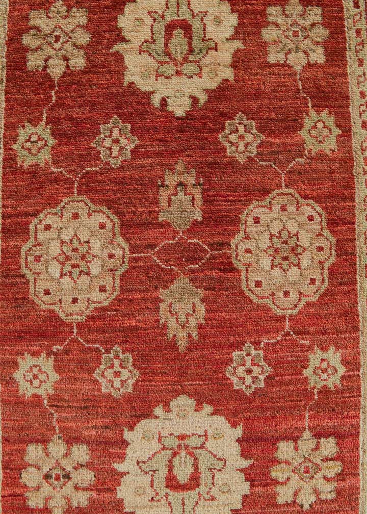 2' 9 x 9' 3 Hand Knotted Peshawar Ziegler Runner Rug