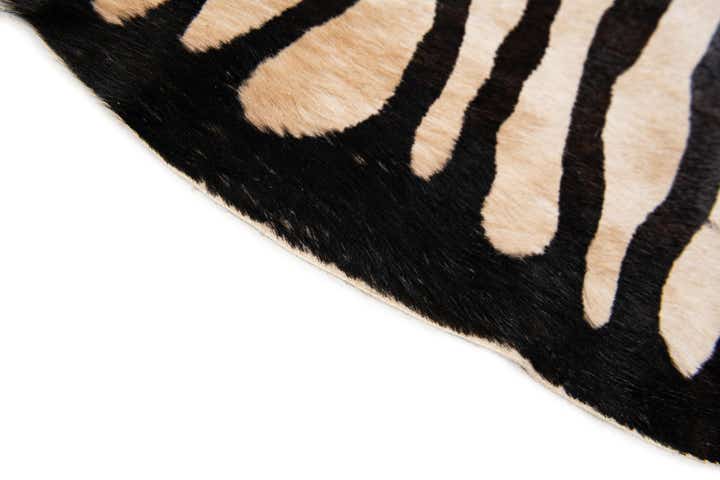 6' 2 x 6' 10 Cowhide Leather Freeform Rug