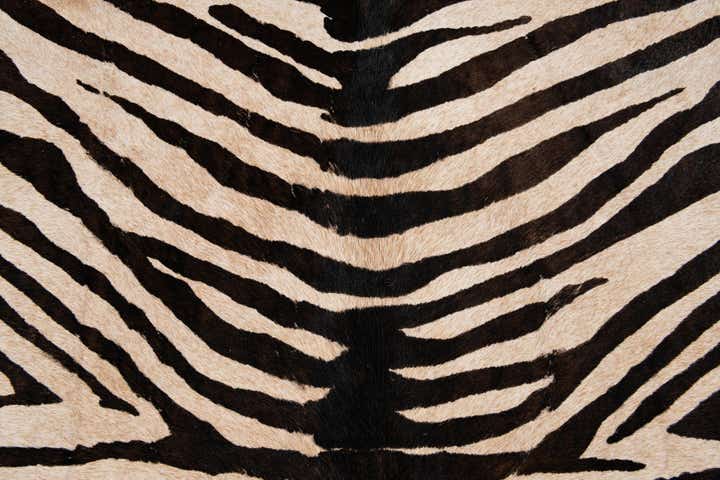 6' 2 x 6' 10 Cowhide Leather Freeform Rug