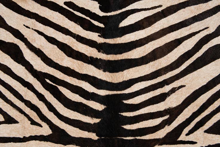 Detail image of 6' 2 x 6' 10 Cowhide Leather Freeform Rug
