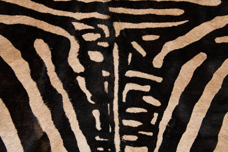 Detail image of 6' 2 x 6' 10 Cowhide Leather Freeform Rug