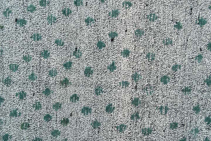 4' 11 x 7' 2 Hand Knotted Darya Wool Rug