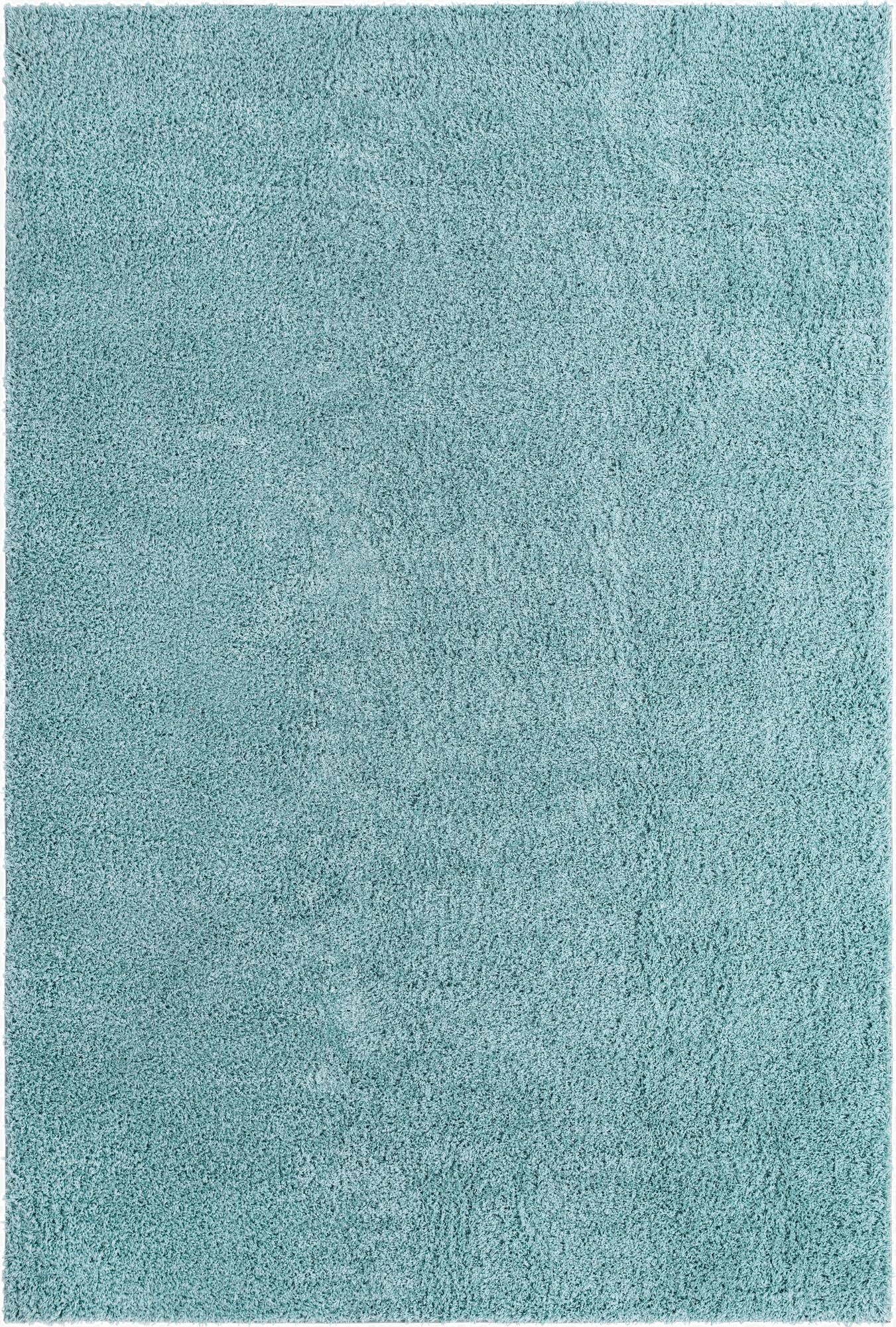 10' x 13' Everyday Shag Rug