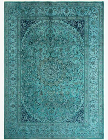 9' 3 x 12' 9 Nain Rug