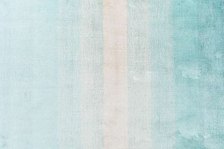 2' 6 x 9' 8 Darya Runner Rug