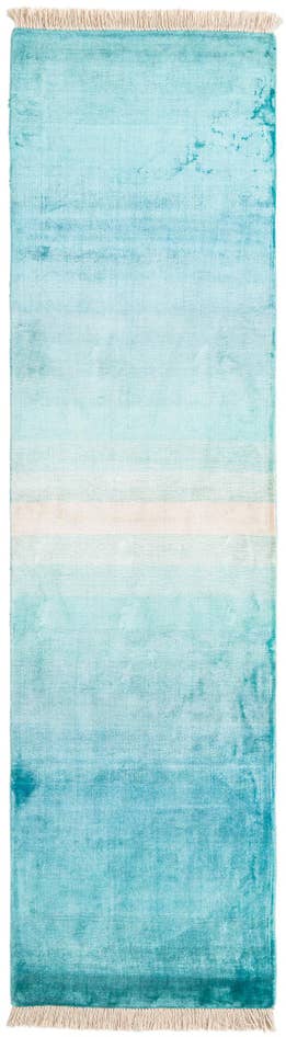 Detail image of 2' 6 x 9' 8 Darya Runner Rug