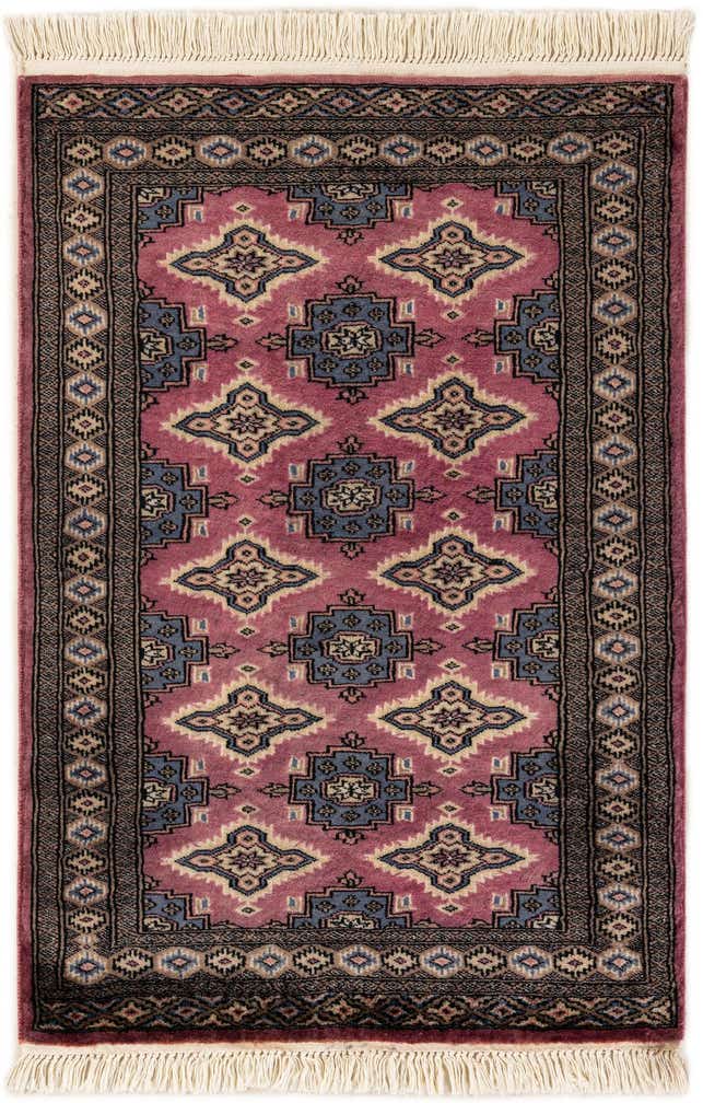 2' 7 x 3' 10 Hand Knotted Bokhara Rug