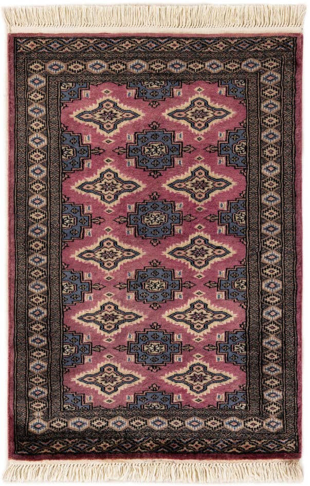 Detail image of 2' 7 x 3' 10 Hand Knotted Bokhara Rug