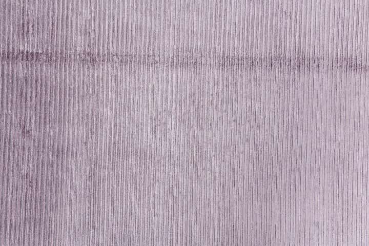 5' 6 x 8' Darya Rug