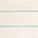 Rug White and Aqua Swatch link