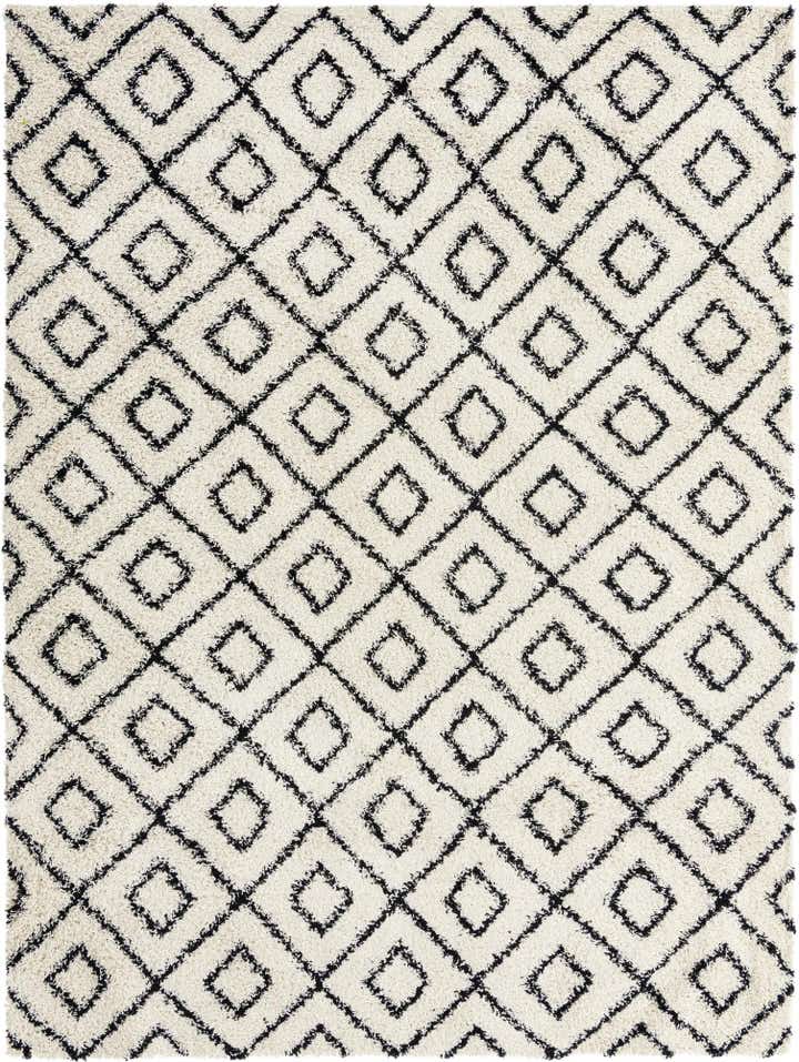 9' x 12' Trellis Shag Rug