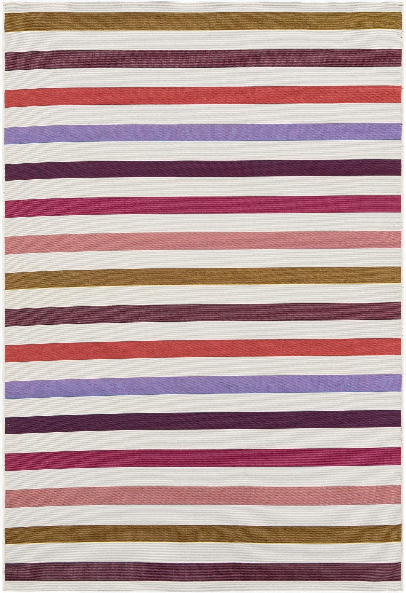 6' x 9' Washable Ribbon Indoor / Outdoor Rug