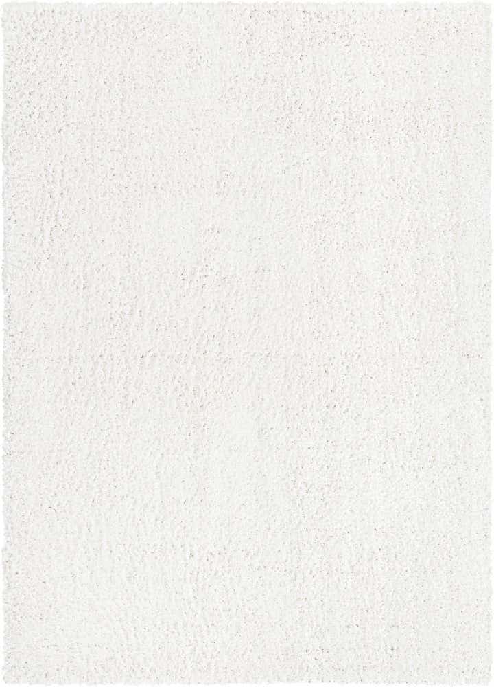 7' x 10' Zermatt Shag Rug