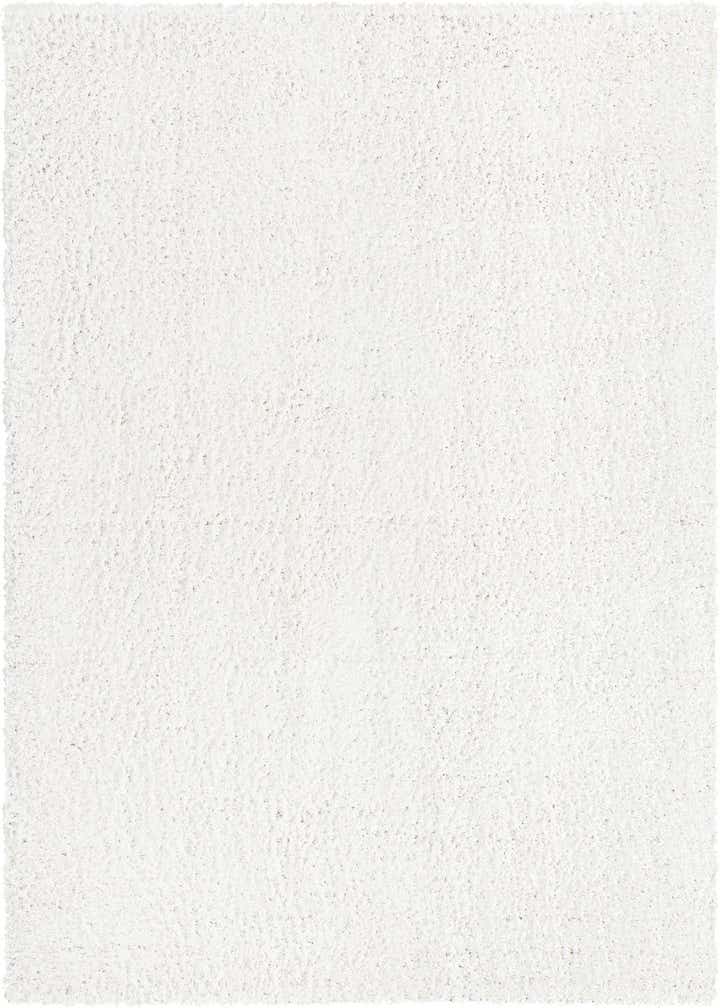 4' x 6' Zermatt Shag Rug