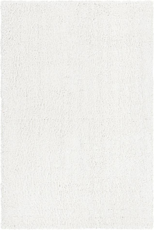 Detail image of 4' x 6' Zermatt Shag Rug