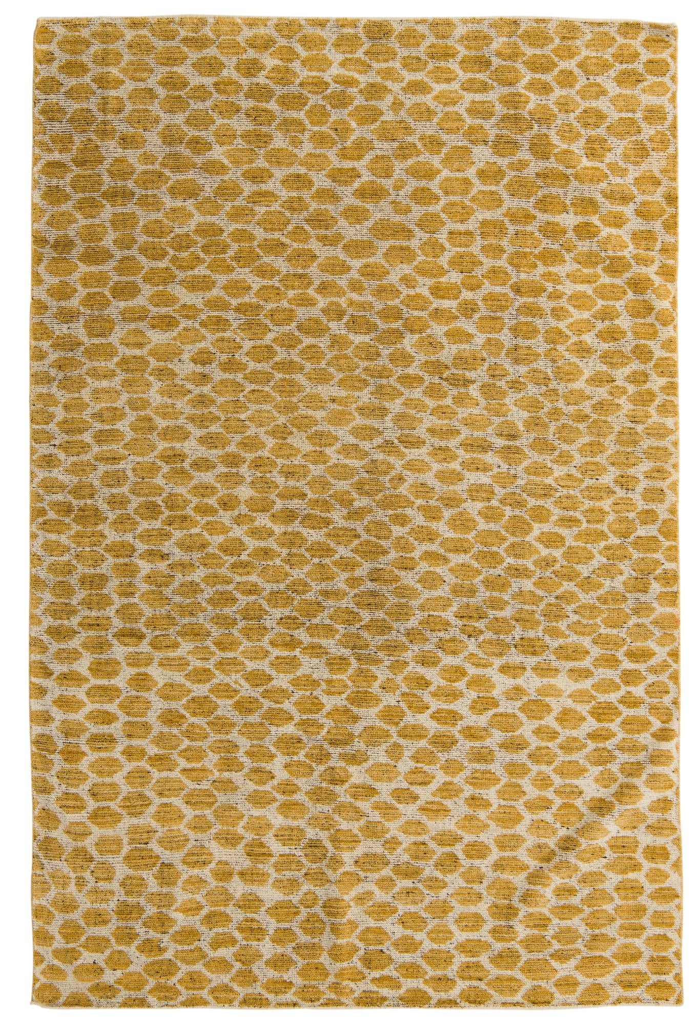 6' x 9' Hand Knotted Darya Wool Rug