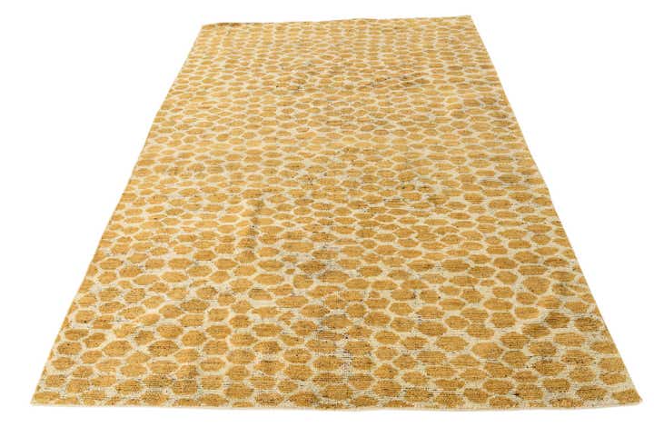 6' x 8' 9 Hand Knotted Darya Wool Rug