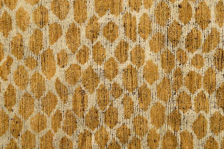 6' x 8' 9 Hand Knotted Darya Wool Rug