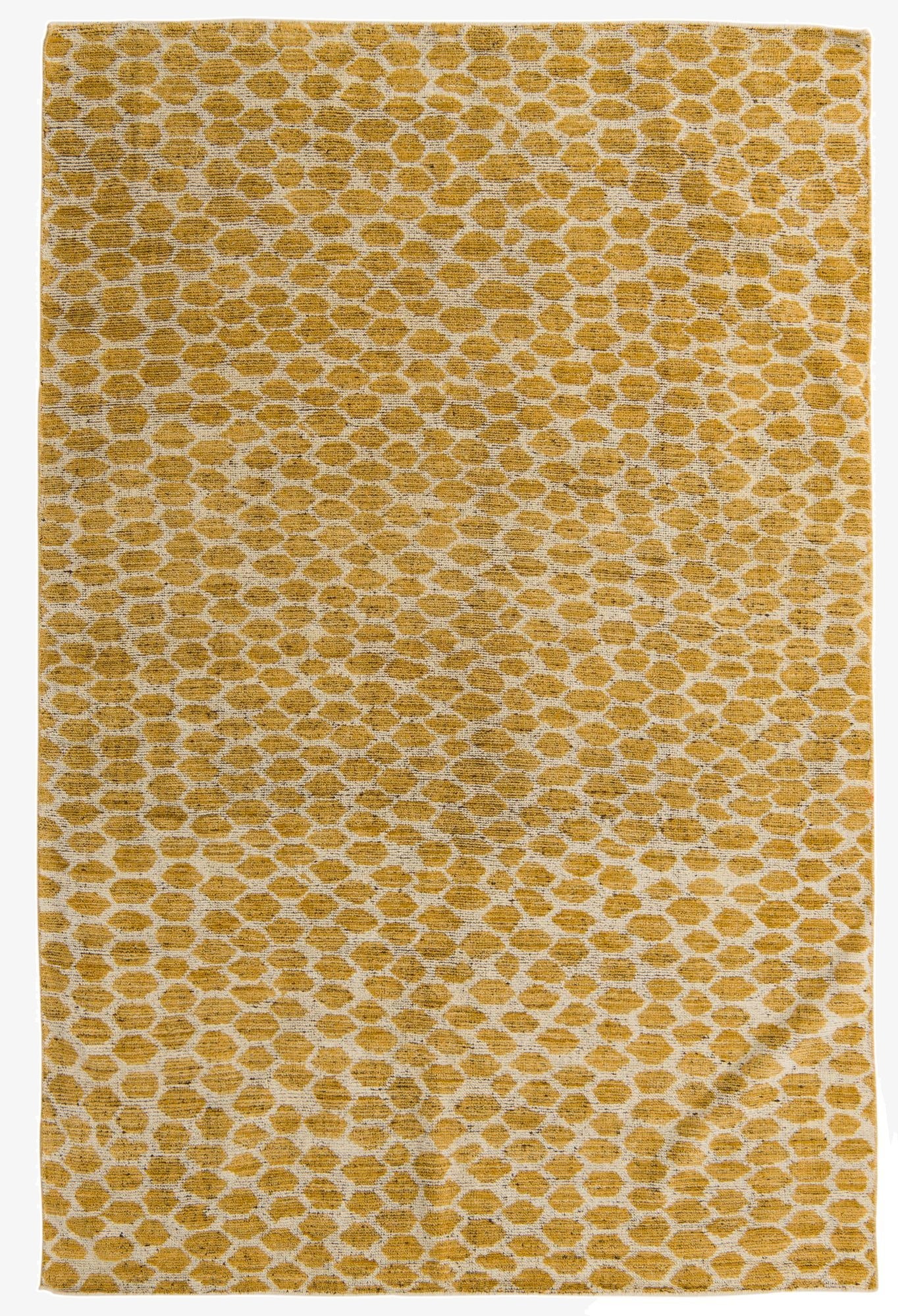 6' x 9'  Hand Knotted Darya Wool Rug