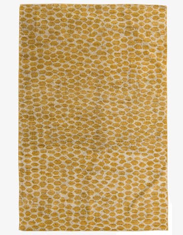 6' x 9' Hand Knotted Darya Wool Rug