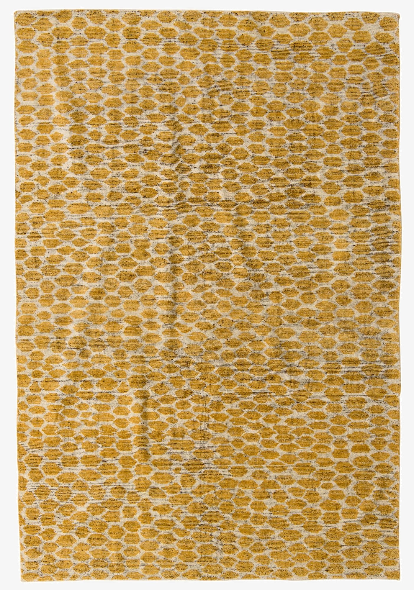 Primary image 6' x 8' 9  Hand Knotted Darya Wool Rug