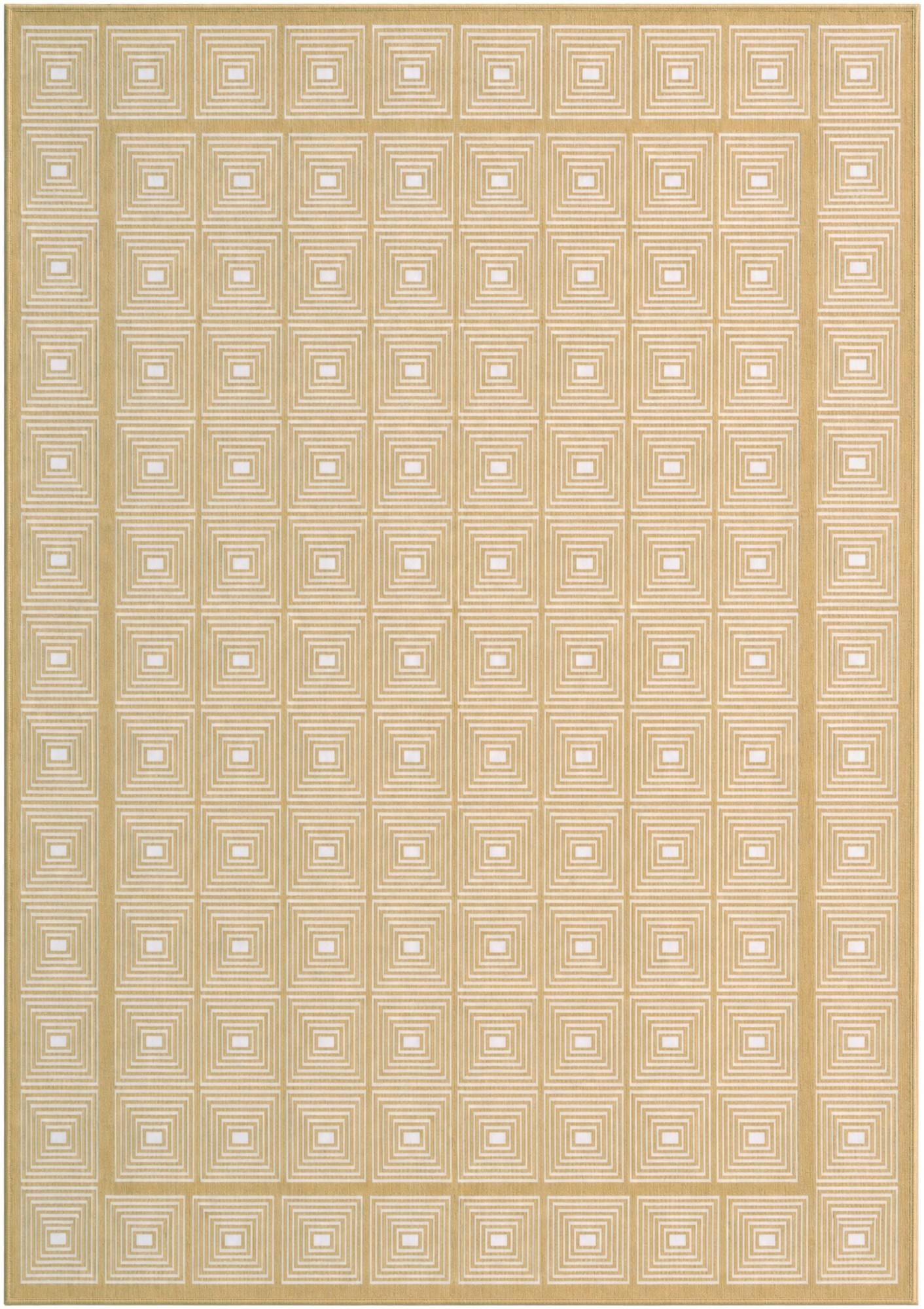 7' x 10' Aakaar Rug