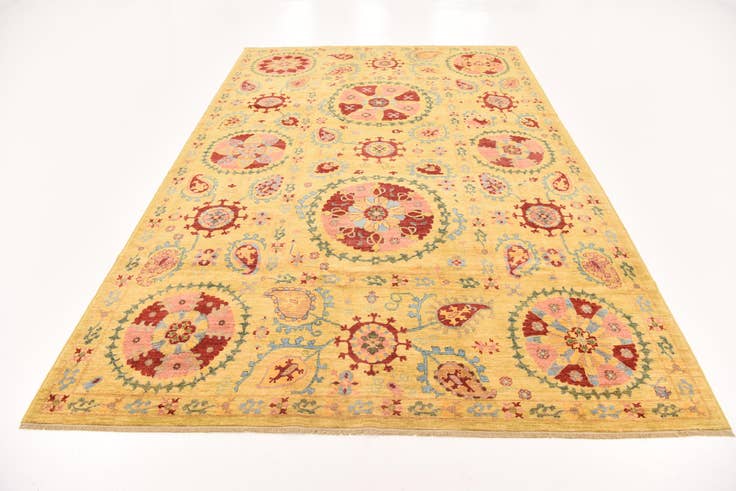 Detail image of 6' 8 x 9' 11 Hand Knotted Ariana Ziegler Oriental Rug