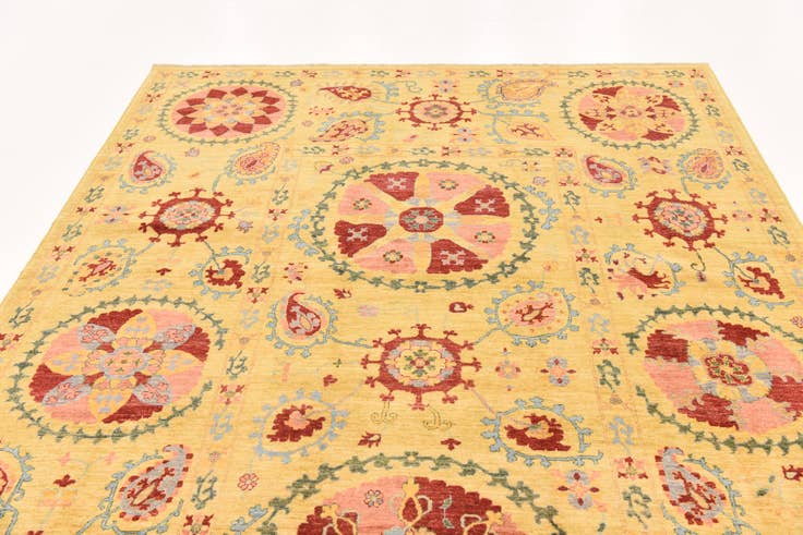 Detail image of 6' 8 x 9' 11 Hand Knotted Ariana Ziegler Oriental Rug