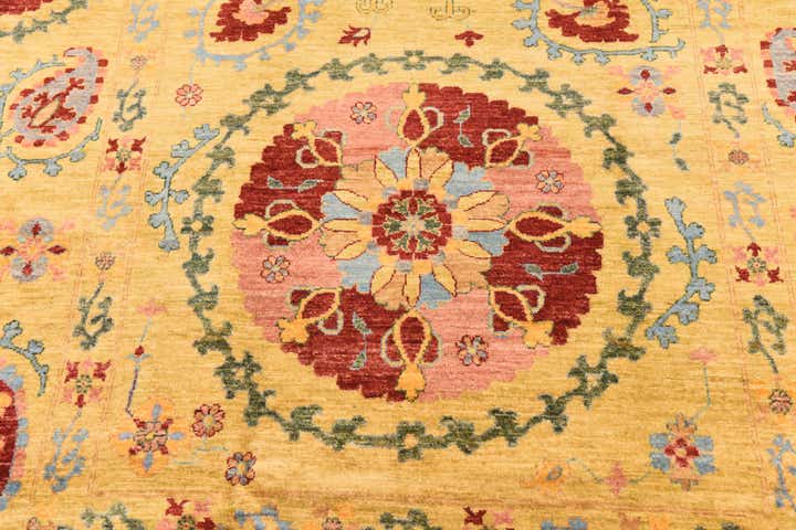 6' 8 x 9' 11 Hand Knotted Ariana Ziegler Oriental Rug