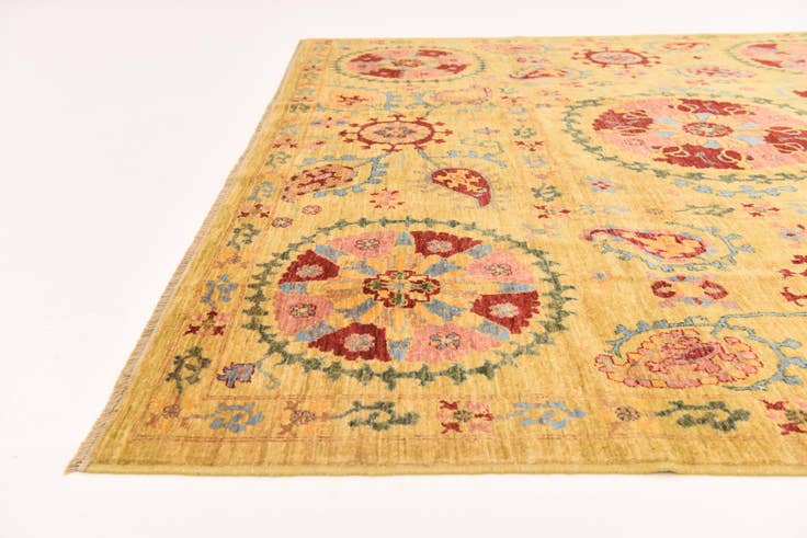 Detail image of 6' 8 x 9' 11 Hand Knotted Ariana Ziegler Oriental Rug