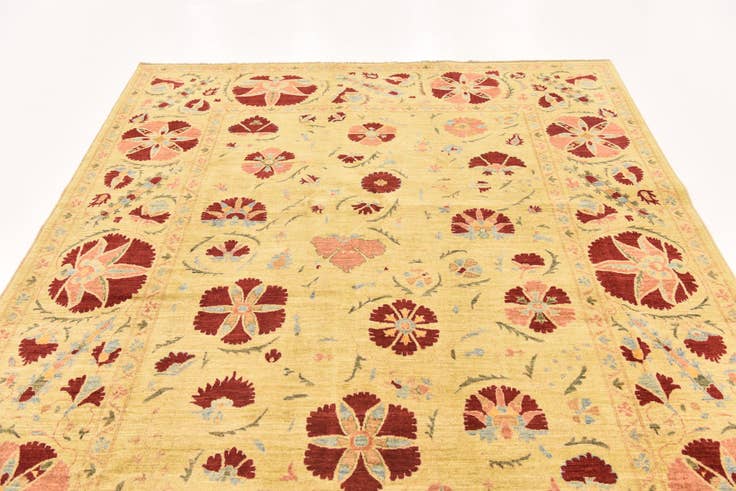 Detail image of 6' 6 x 9' 6 Hand Knotted Ariana Ziegler Oriental Rug