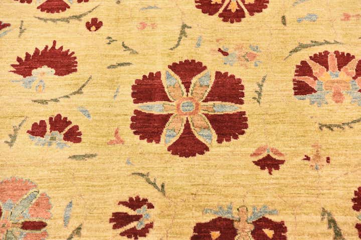 6' 6 x 9' 6 Hand Knotted Ariana Ziegler Oriental Rug
