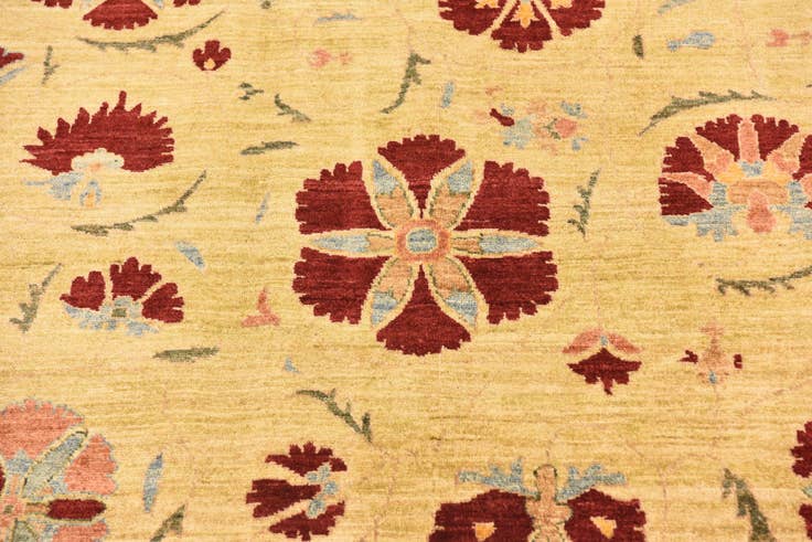 Detail image of 6' 6 x 9' 6 Hand Knotted Ariana Ziegler Oriental Rug