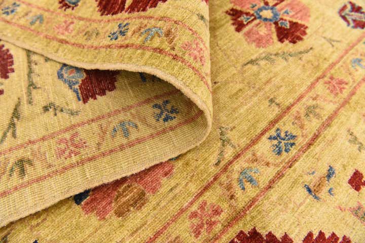 6' x 7' 9 Hand Knotted Ariana Ziegler Oriental Rug