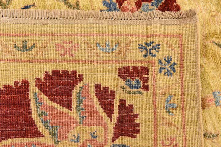 6' x 7' 9 Hand Knotted Ariana Ziegler Oriental Rug