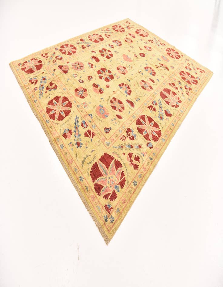 Detail image of 6' x 7' 9  Hand Knotted Ariana Ziegler Oriental Rug