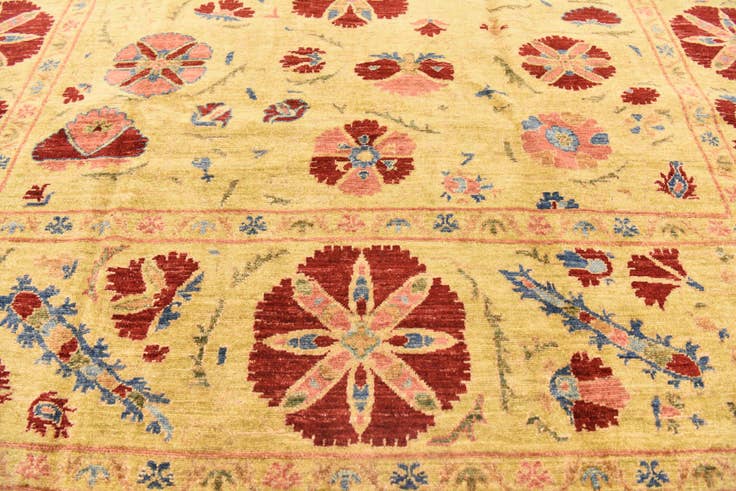 Detail image of 6' x 7' 9 Hand Knotted Ariana Ziegler Oriental Rug