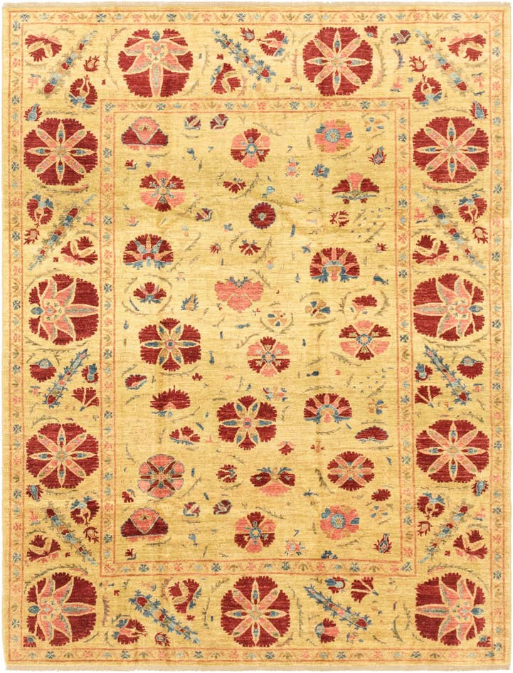 Detail image of 6' x 7' 9 Hand Knotted Ariana Ziegler Oriental Rug